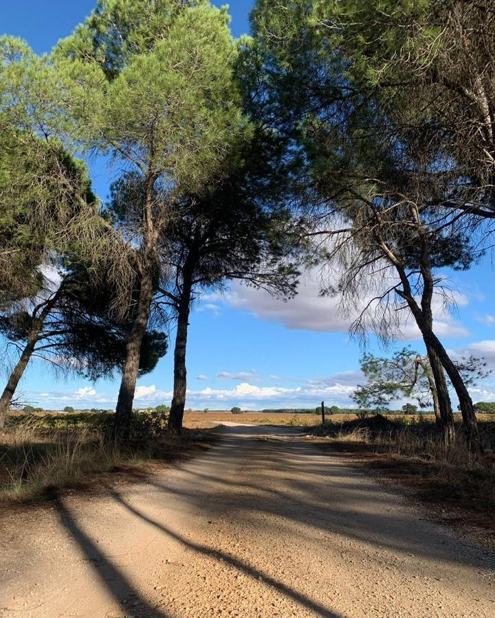 Casa Rural La Navarra 비야로블레도 외부 사진