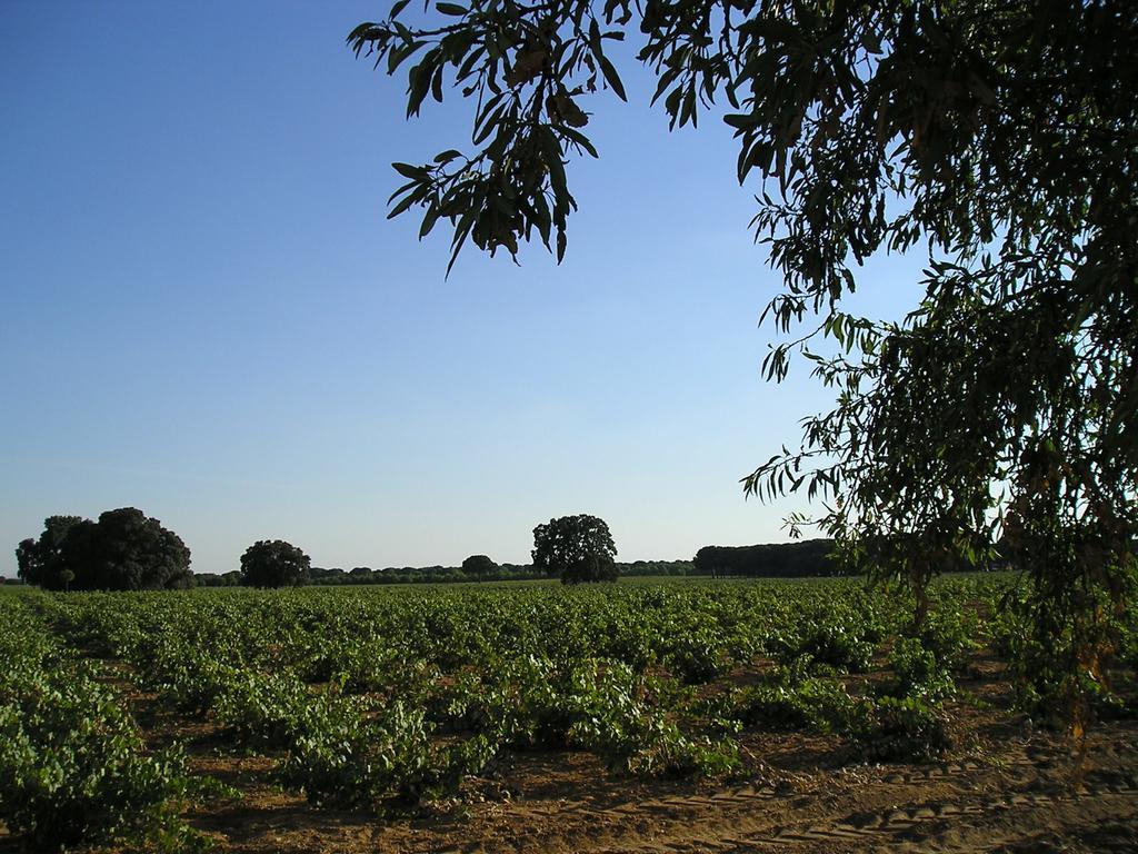 Casa Rural La Navarra 비야로블레도 외부 사진